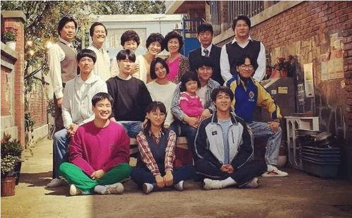 韩剧网请回答1988在线观看,重温青春岁月，共度温馨时光