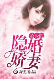 娇妻在线观看,浪漫邂逅，甜蜜生活全景展现