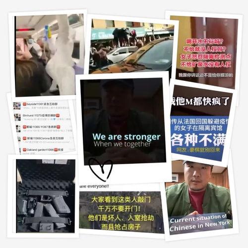 特朗普爆料主播视频播放,揭秘幕后的惊人真相