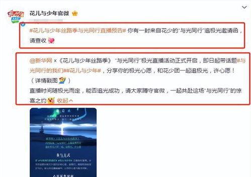 冰岛爆料最新视频,神秘现象背后的惊人真相