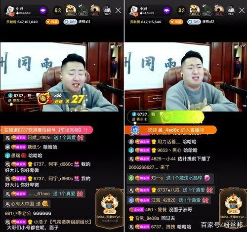爆料影视解说视频大全最新,热门剧集深度解析，精彩瞬间不容错过