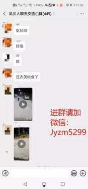 今日关注网上爆料,揭秘网上爆料背后的真相与影响