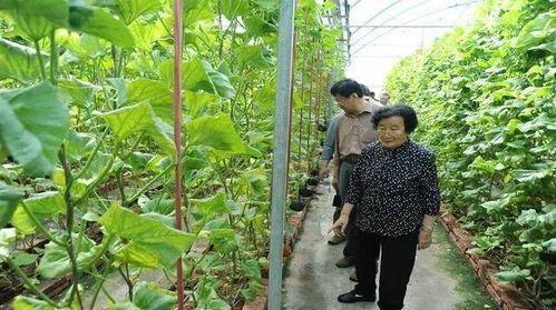 刘大锤爆料顶流明星视频,娱乐圈风波再起