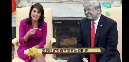 特朗普姐姐爆料视频,揭秘家族内幕与权力斗争
