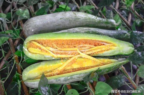 网红吃的绿色瓜是什么瓜,究竟是什么瓜？揭秘其独特魅力