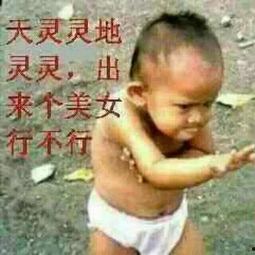 玩小鸡视频在线观看,在线观看趣味无限