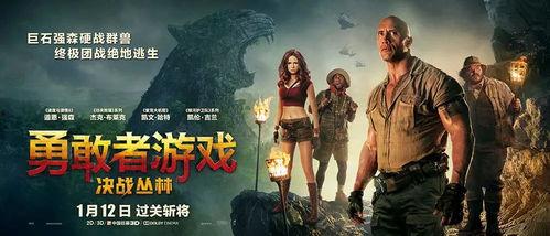 勇敢者游戏在线观看,在线冒险，勇闯未知世界