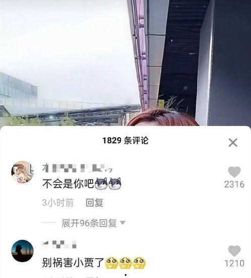 刘大锤爆料范丞丞视频,揭秘娱乐圈背后的真相
