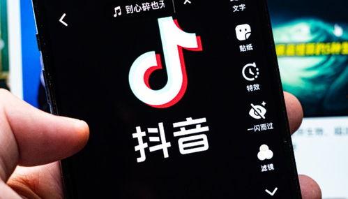 抖音大事爆料视频大全集,揭秘热门视频背后的精彩故事