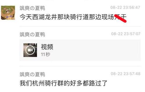 吃瓜爆料视频大全网站免费观看,免费观看大揭秘！
