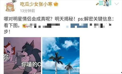 张小寒今日爆料图片视频,今日图片视频揭秘幕后真相