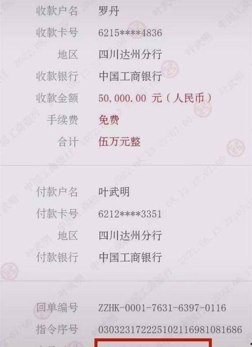 男网红爆料聊天记录视频,揭秘男网红真实一面