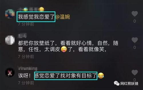 酒吧直男爆料视频大全集,视频大全集深度剖析
