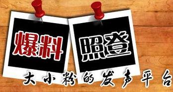 本地爆料新闻有哪些内容,聚焦社区热点事件与民生焦点