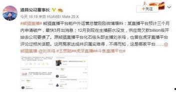 运营讨薪爆料女主播视频,揭秘直播行业幕后真相