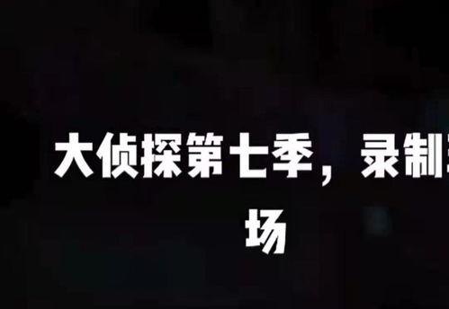 撒贝宁爆料明侦视频,揭秘节目精彩瞬间