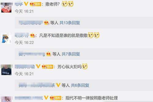 撒贝宁爆料明侦视频,揭秘节目精彩瞬间