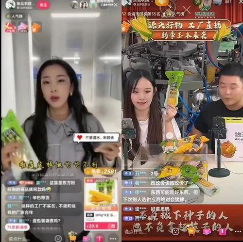 东北农嫂爆料原视频,原视频背后的惊人内幕