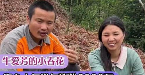 东北农嫂爆料原视频,原视频背后的惊人内幕