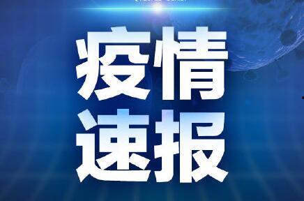 青岛今日新闻爆料电话,揭秘今日焦点