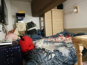 杨思在线手机观看,便捷体验，尽享精彩瞬间