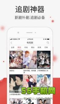 爱草在线观看视频,畅游视频世界的绿色之旅