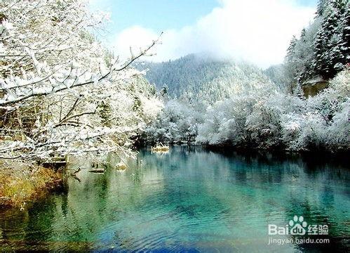 成都九寨沟最新爆料,揭秘神秘美景背后的故事