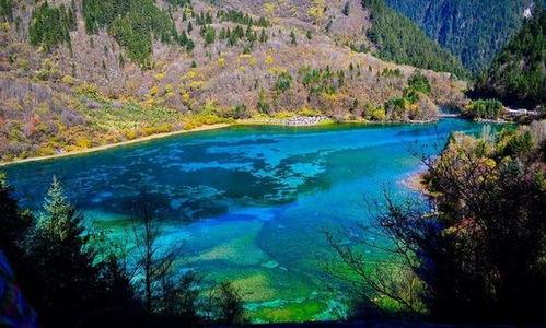 成都九寨沟最新爆料,揭秘神秘美景背后的故事