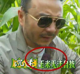 汪涵圈内爆料,揭秘娱乐圈不为人知的幕后故事