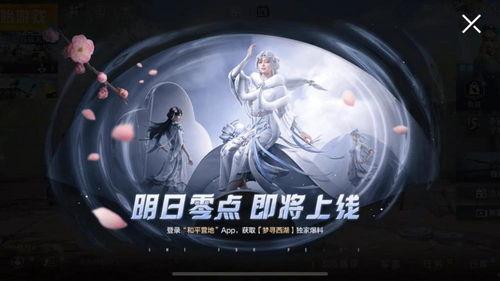 全新爆料新皮肤吃鸡视频,吃鸡视频中的神秘爆料！
