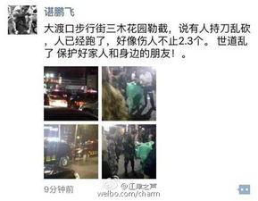 重庆蒋先生爆料案件视频,揭秘惊人真相