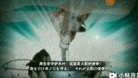 火影水门最新爆料视频,神秘力量觉醒，忍者世界风云再起