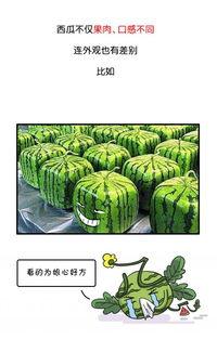 网红吃瓜爆料历史,揭秘娱乐圈那些不为人知的幕后故事