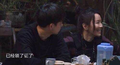 黄磊圈内人爆料视频,娱乐圈背后的真实故事