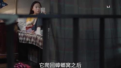 小朋友相互爆料视频,小朋友间的爆笑爆料大揭秘