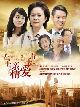 左手亲情右手爱全集在线观看