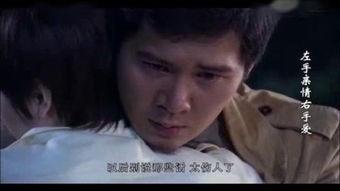 左手亲情右手爱全集在线观看