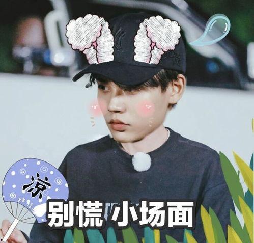 林彦俊头像爆料视频下载,揭秘偶像幕后故事