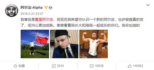 秃头最新爆料视频播放,揭秘视频背后的惊人真相