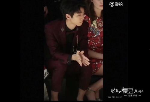 小凯姑姑维姐爆料视频,小凯幕后故事，独家爆料视频曝光