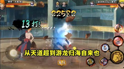 齐天道爆料视频大全最新