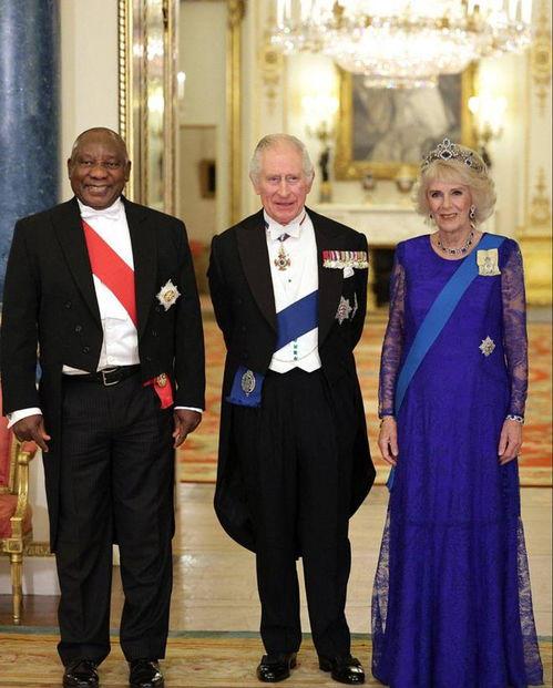 卡米拉最新爆料视频大全,揭秘视频大全背后的惊人真相