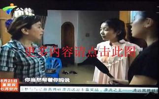 帮帮忙在线观看,揭秘热门剧集背后的故事